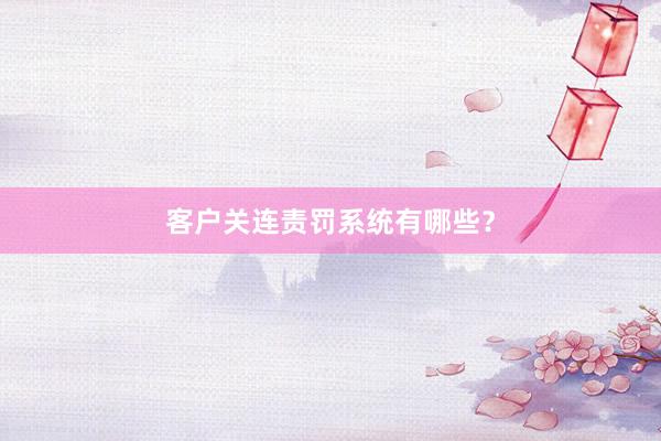客户关连责罚系统有哪些？