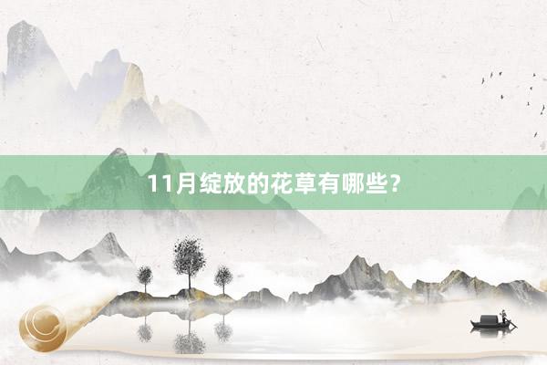 11月绽放的花草有哪些？