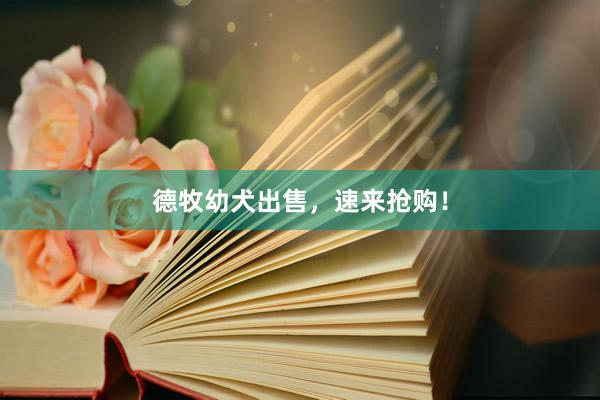 德牧幼犬出售，速来抢购！
