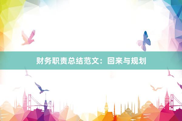 财务职责总结范文：回来与规划