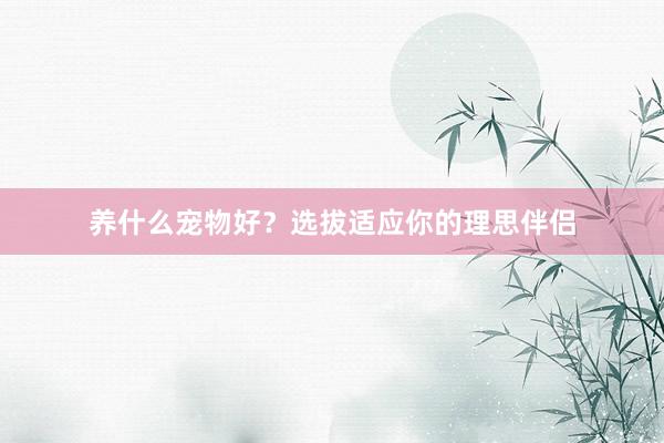 养什么宠物好？选拔适应你的理思伴侣